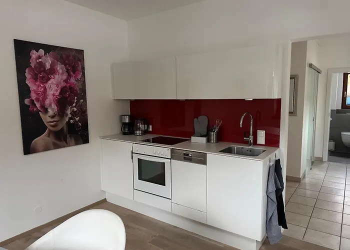 Muller-mayer Apartament